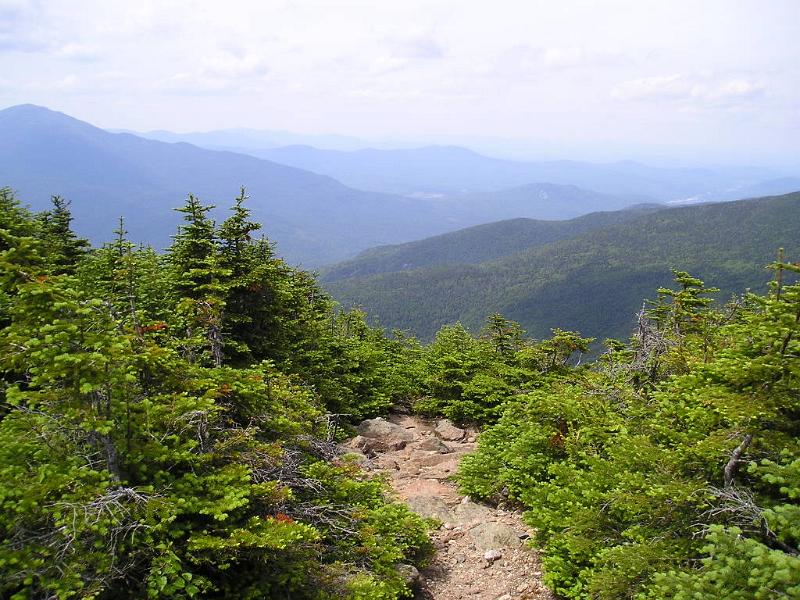 CarterDome (32).JPG - There's one area on Carter Dome where you can look out into the valley. This view is north towards Gorham.